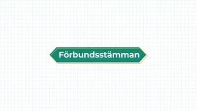 Så funkar förbundsstämman: Din guide till Vi Unga